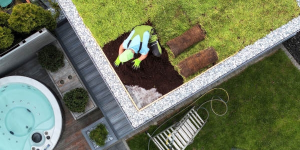 Dachy zielone - ekologiczna rewolucja w miejskiej architekturze dzięki swissporGREEN System