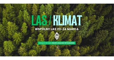 Wspólny Las 2024: dziesiątki leśnych wydarzeń w całej Polsce! 